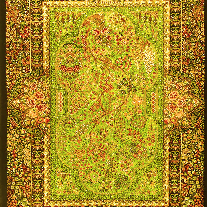 Persian Yellow Traditional Rug, tr4815yw