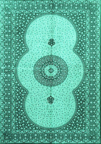 Medallion Turquoise Traditional Rug, tr4816turq