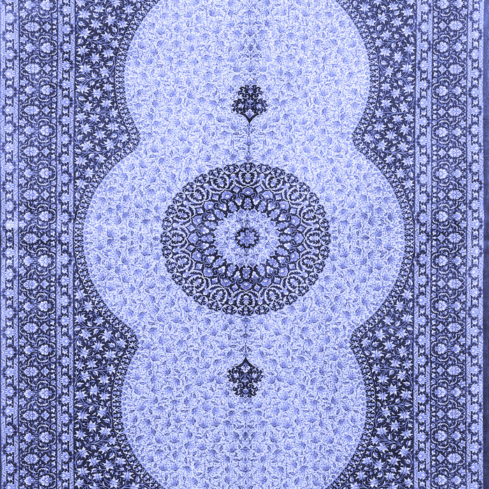 Medallion Blue Traditional Rug, tr4816blu