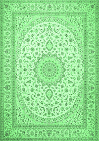 Medallion Emerald Green Traditional Rug, tr481emgrn