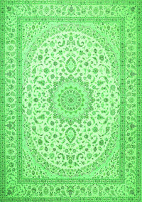 Medallion Green Traditional Rug, tr481grn