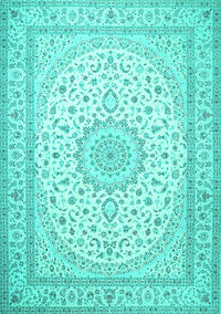 Medallion Turquoise Traditional Rug, tr481turq