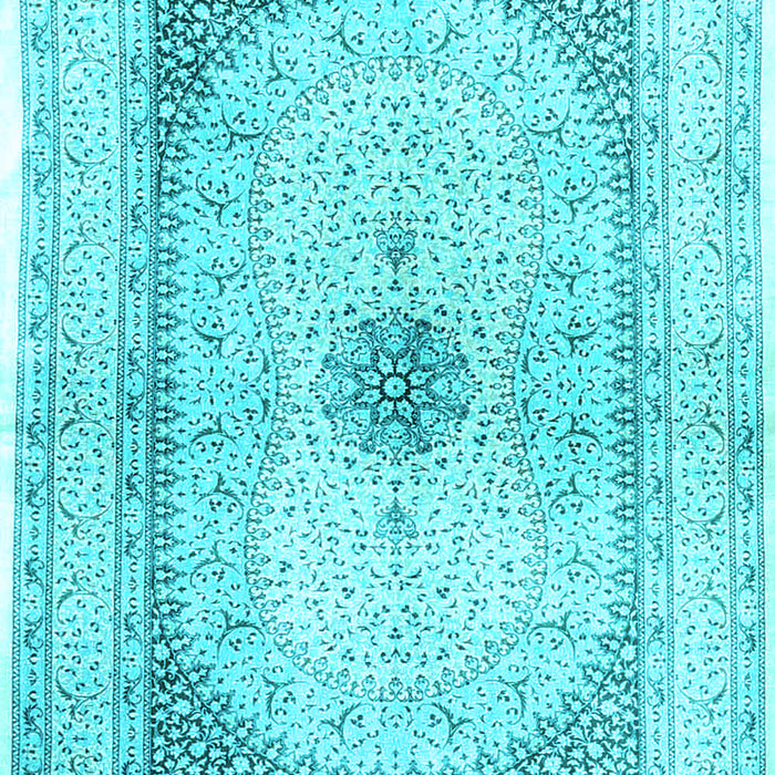 Machine Washable Persian Light Blue Traditional Rug, wshtr4820lblu