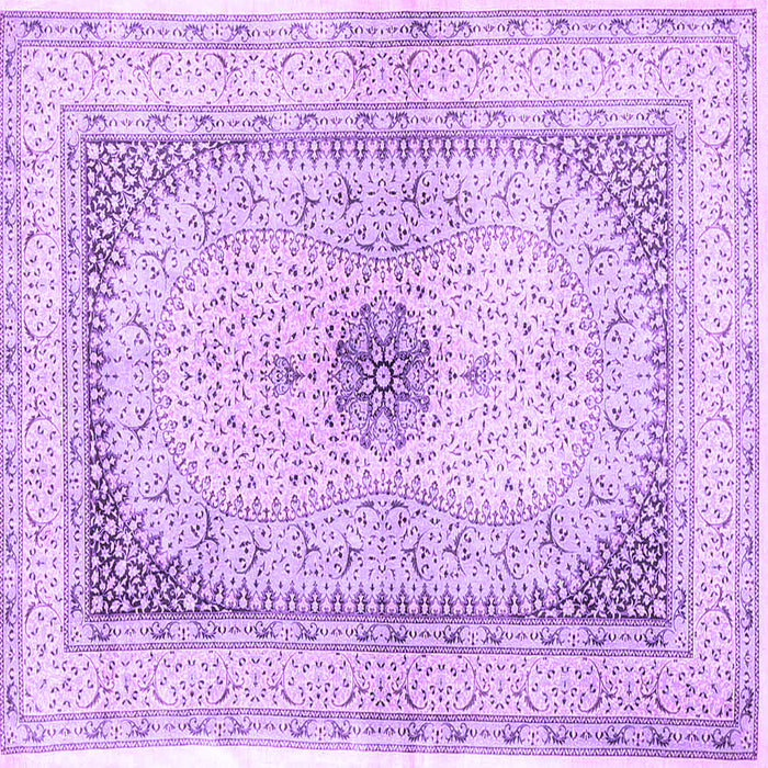 Square Persian Purple Traditional Rug, tr4820pur