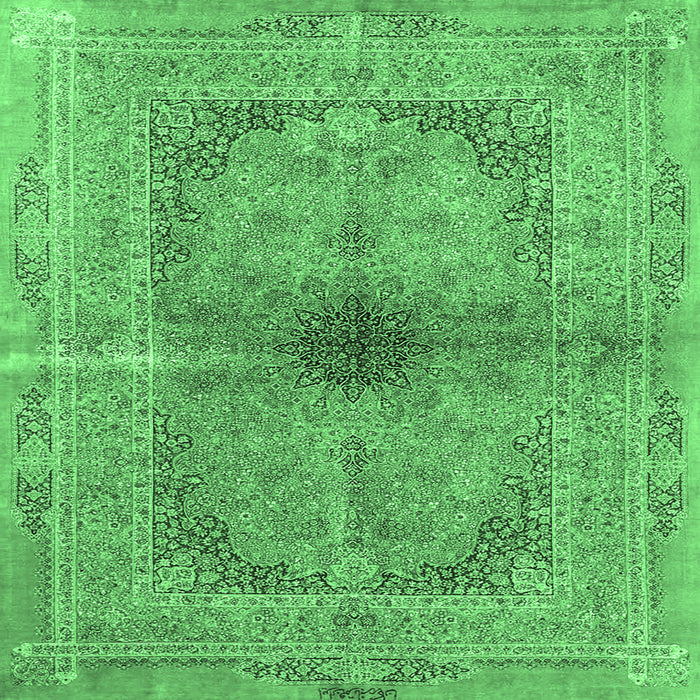 Square Persian Emerald Green Traditional Rug, tr4822emgrn