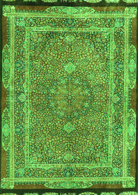 Persian Green Traditional Rug, tr4823grn