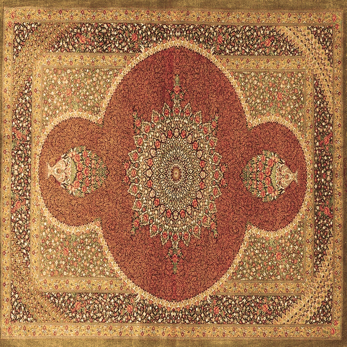 Square Medallion Brown Traditional Rug, tr4825brn