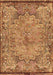 Machine Washable Persian Brown Traditional Rug, wshtr4826brn