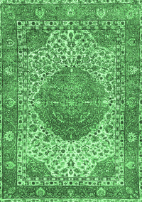 Medallion Emerald Green Traditional Rug, tr4827emgrn