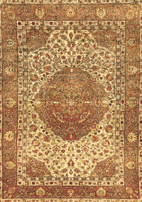 Medallion Brown Traditional Rug, tr4827brn