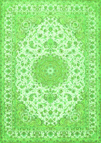 Medallion Green Traditional Rug, tr482grn