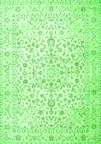 Medallion Green Traditional Rug, tr4830grn