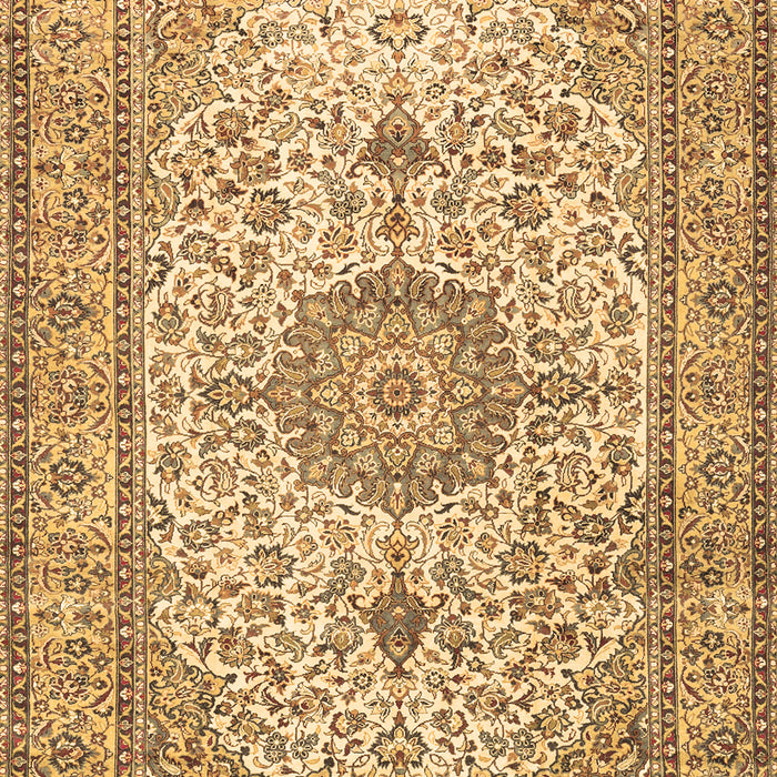 Medallion Brown Traditional Rug, tr4831brn