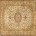 Square Machine Washable Medallion Brown Traditional Rug, wshtr4831brn