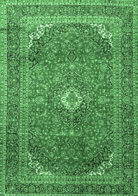 Medallion Emerald Green Traditional Rug, tr4833emgrn