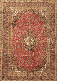 Medallion Brown Traditional Rug, tr4833brn