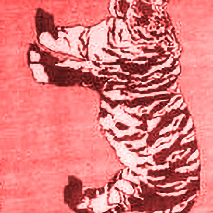 Persian Red Traditional Area Rugs