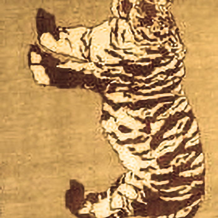 Persian Brown Traditional Rug, tr4834brn