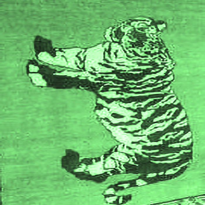 Square Machine Washable Persian Emerald Green Traditional Area Rugs, wshtr4834emgrn