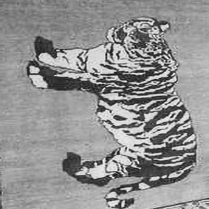 Serging Thickness of Persian Gray Traditional Rug, tr4834gry