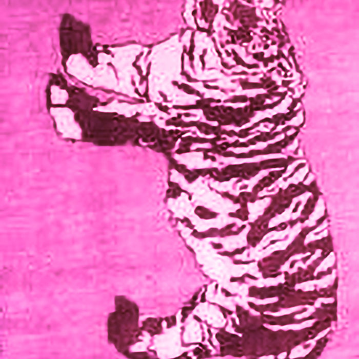 Machine Washable Persian Pink Traditional Rug, wshtr4834pnk