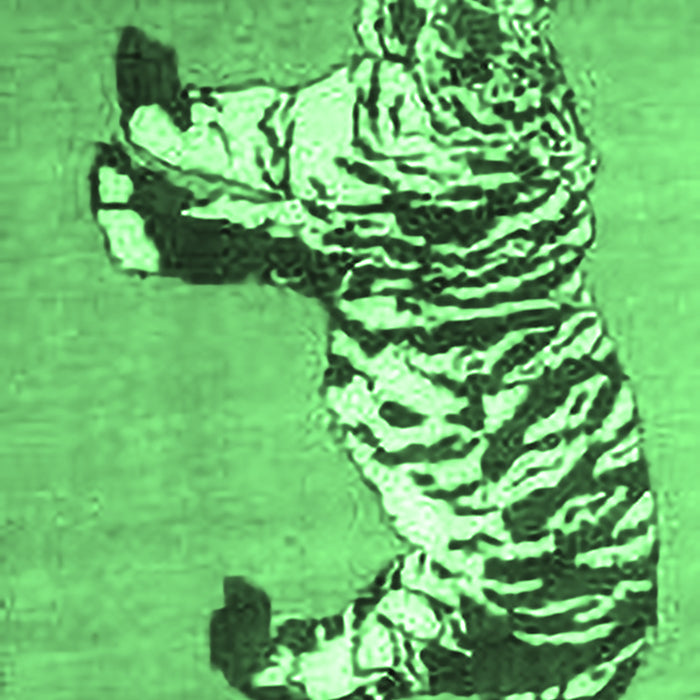 Persian Emerald Green Traditional Rug, tr4834emgrn