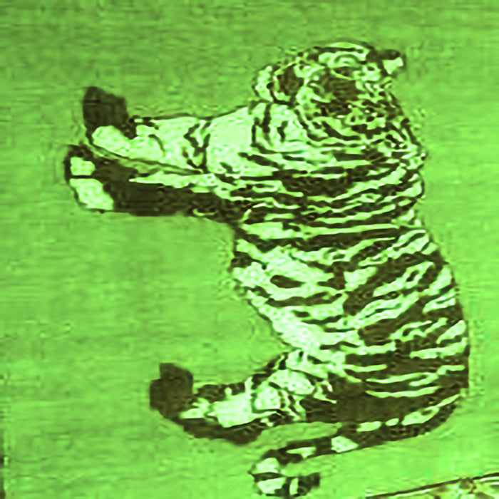 Round Machine Washable Persian Green Traditional Area Rugs, wshtr4834grn