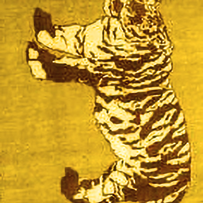 Machine Washable Persian Yellow Traditional Rug, wshtr4834yw