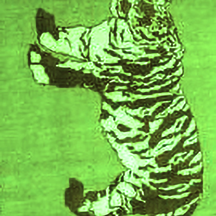 Serging Thickness of Machine Washable Persian Green Traditional Area Rugs, wshtr4834grn