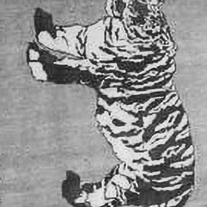 Serging Thickness of Machine Washable Persian Gray Traditional Rug, wshtr4834gry