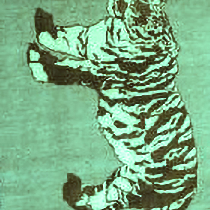 Persian Turquoise Traditional Rug, tr4834turq