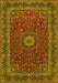 Medallion Yellow Traditional Rug, tr483yw