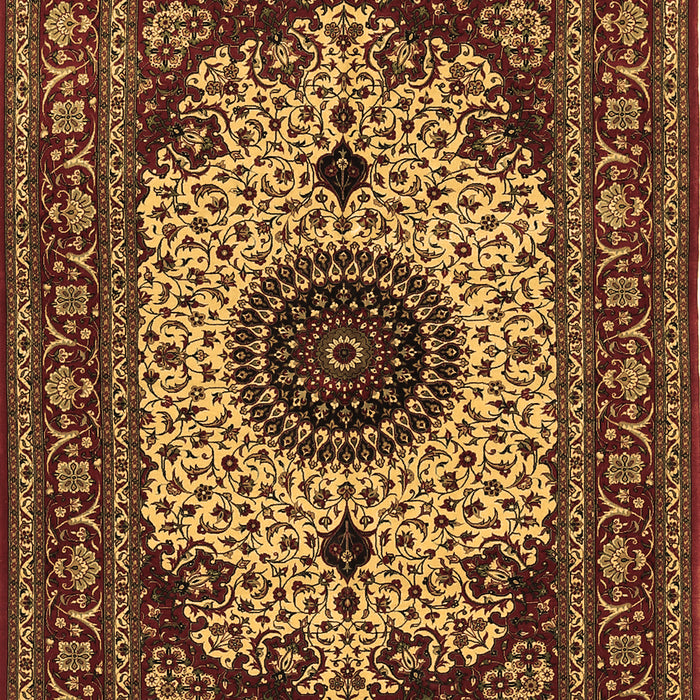Medallion Brown Traditional Rug, tr485brn