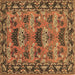 Square Persian Brown Traditional Rug, tr487brn