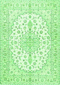 Medallion Green Traditional Rug, tr489grn