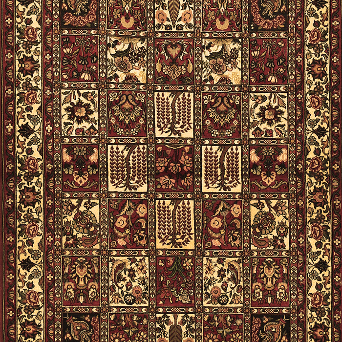 Machine Washable Animal Brown Traditional Rug, wshtr491brn