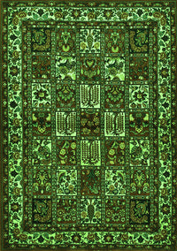 Animal Green Traditional Rug, tr491grn