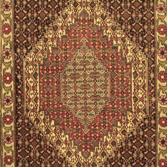 Machine Washable Medallion Brown Traditional Rug, wshtr492brn
