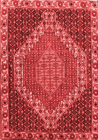 Medallion Red Traditional Rug, tr492red