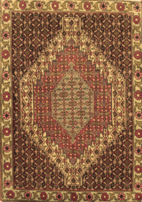 Medallion Brown Traditional Rug, tr492brn