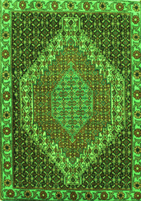 Medallion Green Traditional Rug, tr492grn