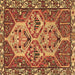 Square Machine Washable Persian Brown Traditional Rug, wshtr495brn