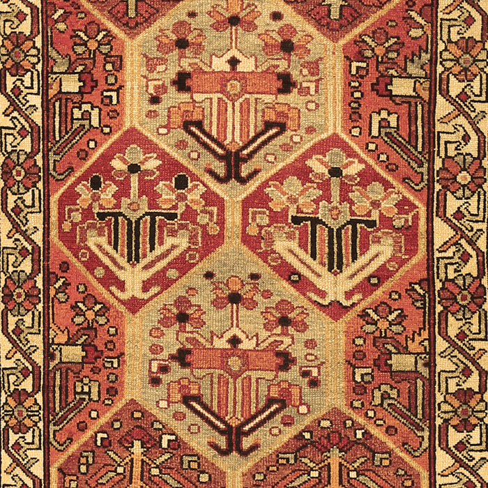 Persian Brown Traditional Rug, tr495brn