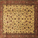 Square Persian Brown Traditional Rug, tr496brn