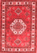 Medallion Red Traditional Area Rugs