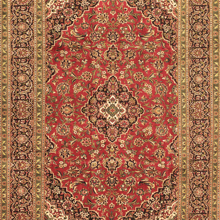 Medallion Brown Traditional Rug, tr49brn