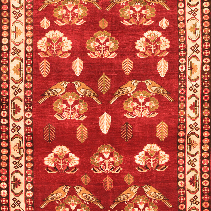 Serging Thickness of Machine Washable Animal Orange Traditional Area Rugs, wshtr4org