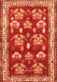 Animal Orange Traditional Rug, tr4org