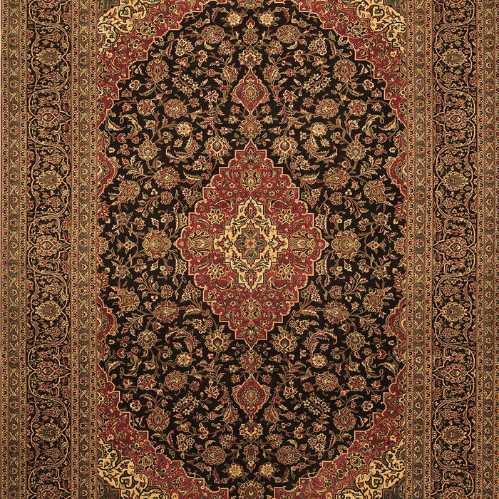 Machine Washable Medallion Brown Traditional Rug, wshtr500brn