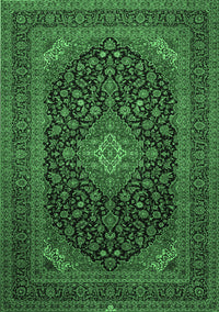 Medallion Emerald Green Traditional Rug, tr500emgrn